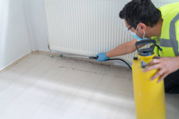 Best Pest Removal Services  in Bunker Hill Village, TX